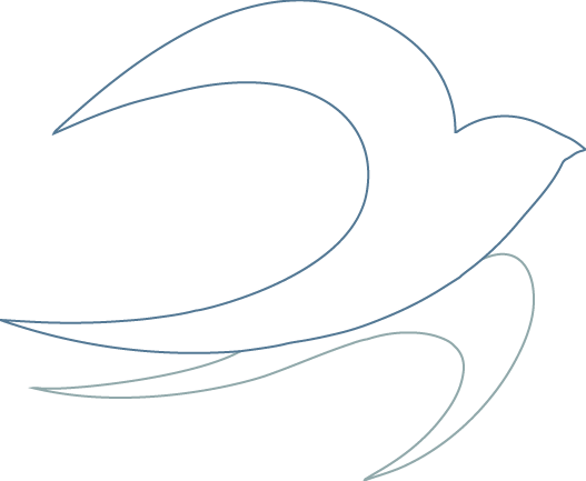 SWIFT Outline
